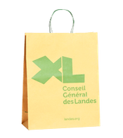 un sac kraft naturel avec des poignées torsadées sérigraphie 1 couleur Bordeaux Toulous Paris Avignon Mont de Marsan Dax
